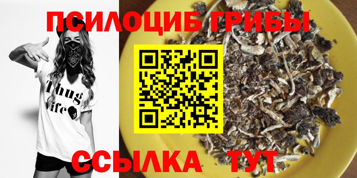 Галлюциногенные грибы мухоморы  Галлюциногенные грибы GOLDEN TEACHER  Торжок  наркота  Вход с VPN 